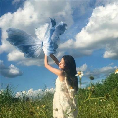 雾水总统